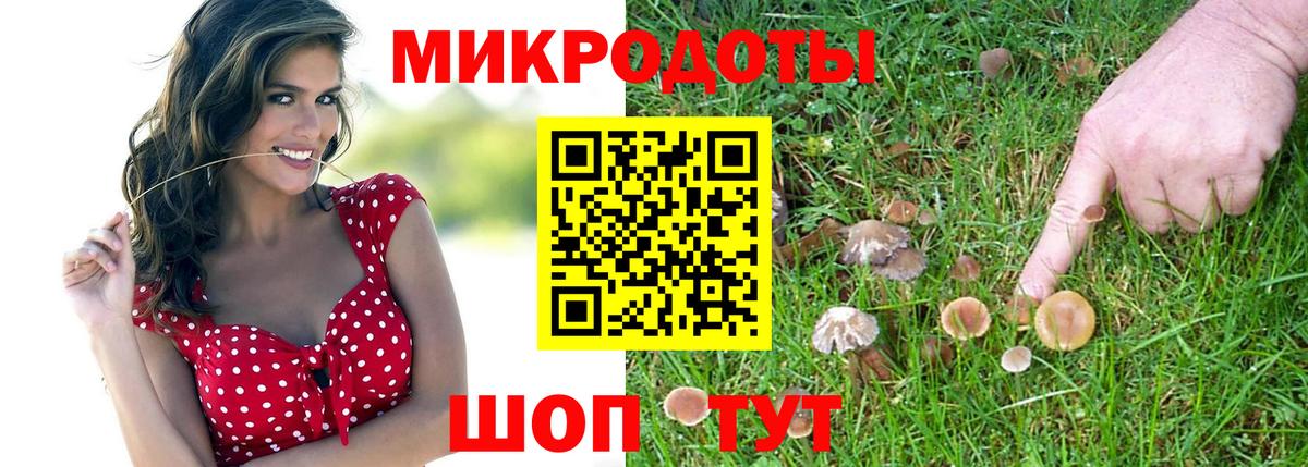 Галлюциногенные грибы Psilocybine cubensis  Галлюциногенные грибы мицелий  наркота  Вход с VPN  Октябрьский 